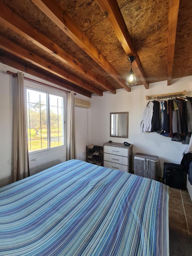 Spacious Studio In Yeroskipou Koloni Esterno foto